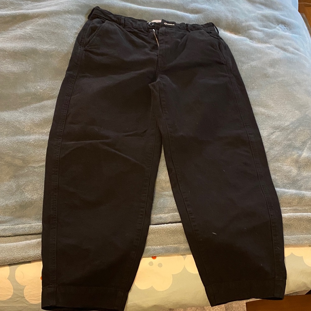 Everlane canvas barrel pants